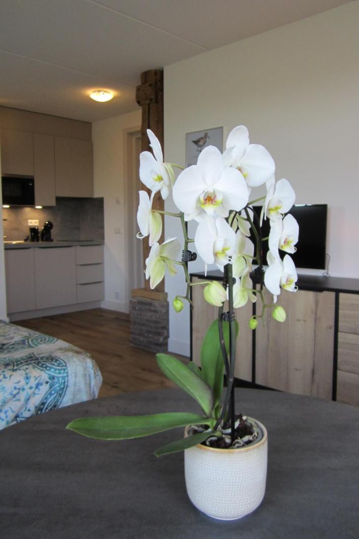 Ferienwohnung Aan De Dijk Edam Exterior foto