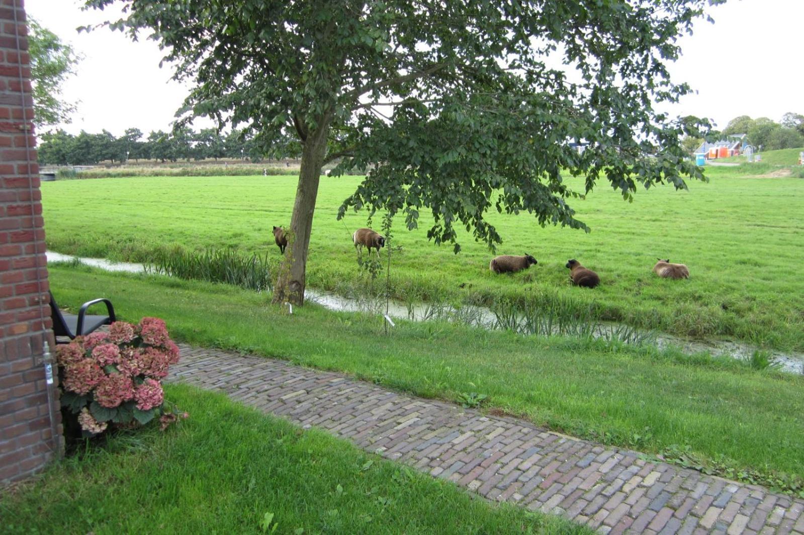 Ferienwohnung Aan De Dijk Edam Exterior foto